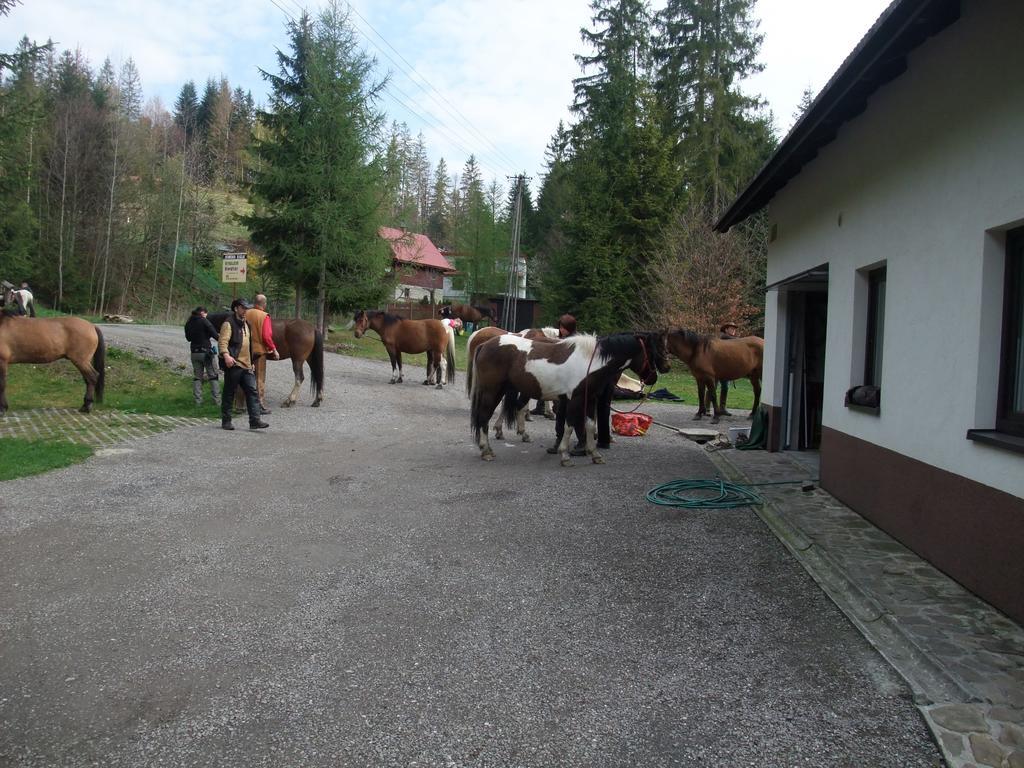 Ferienhaus Konsko Sigla