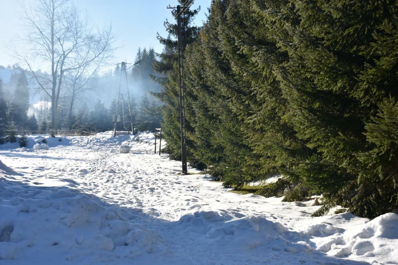 Ferienhaus Konsko Sigla Weichsel